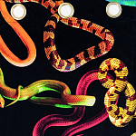 Штора Seletti Snakes Black варинант исполнения - 1 | Loft Concept в Омске