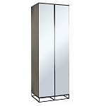 Двухдверный шкаф с зеркальными дверцами Strict Lines варинант исполнения - 1 | Loft Concept в Омске