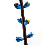 Синий экзотический фрукт статуэтка для интерьераTropical Fruit Pandora 9 варинант исполнения - 2 | Loft Concept в Омске