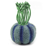 Статуэтка экзотический фрукт Exotic Tropical Fruit Green and Blue 64 варинант исполнения - 1 | Loft Concept в Омске