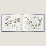 Лимитированная подарочная книга HERMES Fierce and Fragile book, English version варинант исполнения - 4 | Loft Concept в Омске