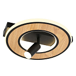 Потолочный светильник круглый GAVIN WOOD варинант исполнения - 1 | Loft Concept в Омске