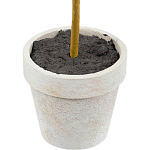 Декоративный искусственное растение Boxwood One варинант исполнения - 3 | Loft Concept в Омске