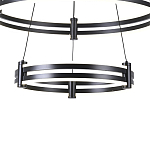 Люстра светодиодная с 2-мя плафонами в форме колец из акрила и алюминия с пультом для регулировки света Ring Horizontal Black варинант исполнения - 2 | Loft Concept в Омске