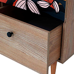 Шкаф с принтом Kario варинант исполнения - 3 | Loft Concept в Омске