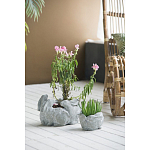 Кашпо A collection of baby rabbits варинант исполнения - 4 | Loft Concept в Омске