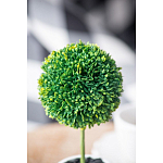 Декоративный искусственное растение Boxwood One варинант исполнения - 8 | Loft Concept в Омске