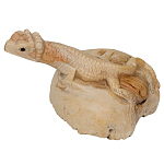 Статуэтка из дерева ящерица Animals of the World варинант исполнения - 2 | Loft Concept в Омске