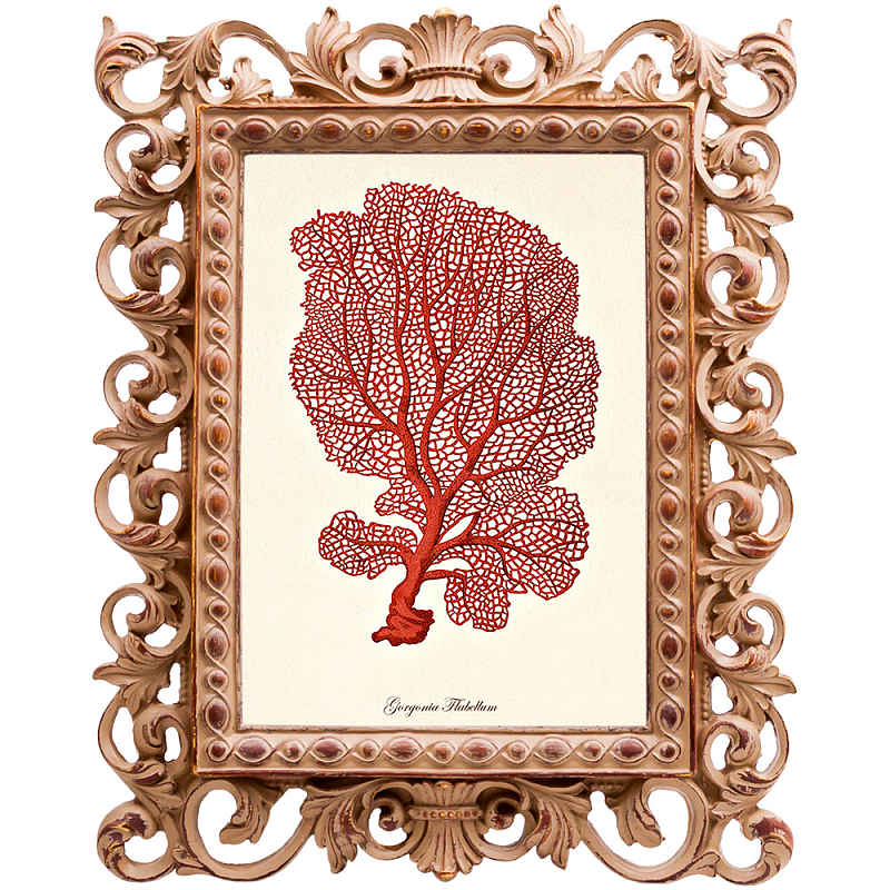 Постер Red Coral Poster 5 Бежевый Красный Постер Red Coral Poster 5 Бежевый Красный в Омске | Loft Concept