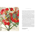 Прекрасно иллюстрированная книга более 100 ботанических произведений Plant Hunters Atlas варинант исполнения - 5 | Loft Concept в Омске