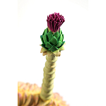 Статуэтка тропический фрукт Pandora Tropical Fruit Orange Two Flowers варинант исполнения - 4 | Loft Concept в Омске