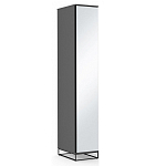 Шкаф-пенал с зеркальной дверцей и фасадом цвета графит Strict Lines варинант исполнения - 2 | Loft Concept в Омске