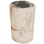 Стул из окаменелого дерева Petrified Wood варинант исполнения - 1 | Loft Concept в Омске