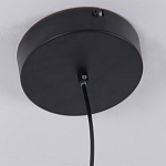 Люстра подвесная светодиодная черный металл Ring Horizontal варинант исполнения - 6 | Loft Concept в Омске