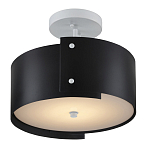 Потолочный светильник круглый светодиодный Semicircular White Panels чёрный варинант исполнения - 2 | Loft Concept в Омске