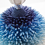 Статуэтка Синий тропический фрукт Tropical Fruit Pandora 4 варинант исполнения - 1 | Loft Concept в Омске