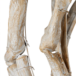 Люстра круглая в виде веток деревьев Natural Driftwood варинант исполнения - 3 | Loft Concept в Омске