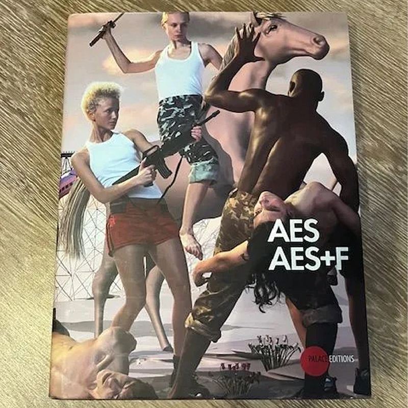 Подарочный Альбом группы AES AES+F  в Омске | Loft Concept 