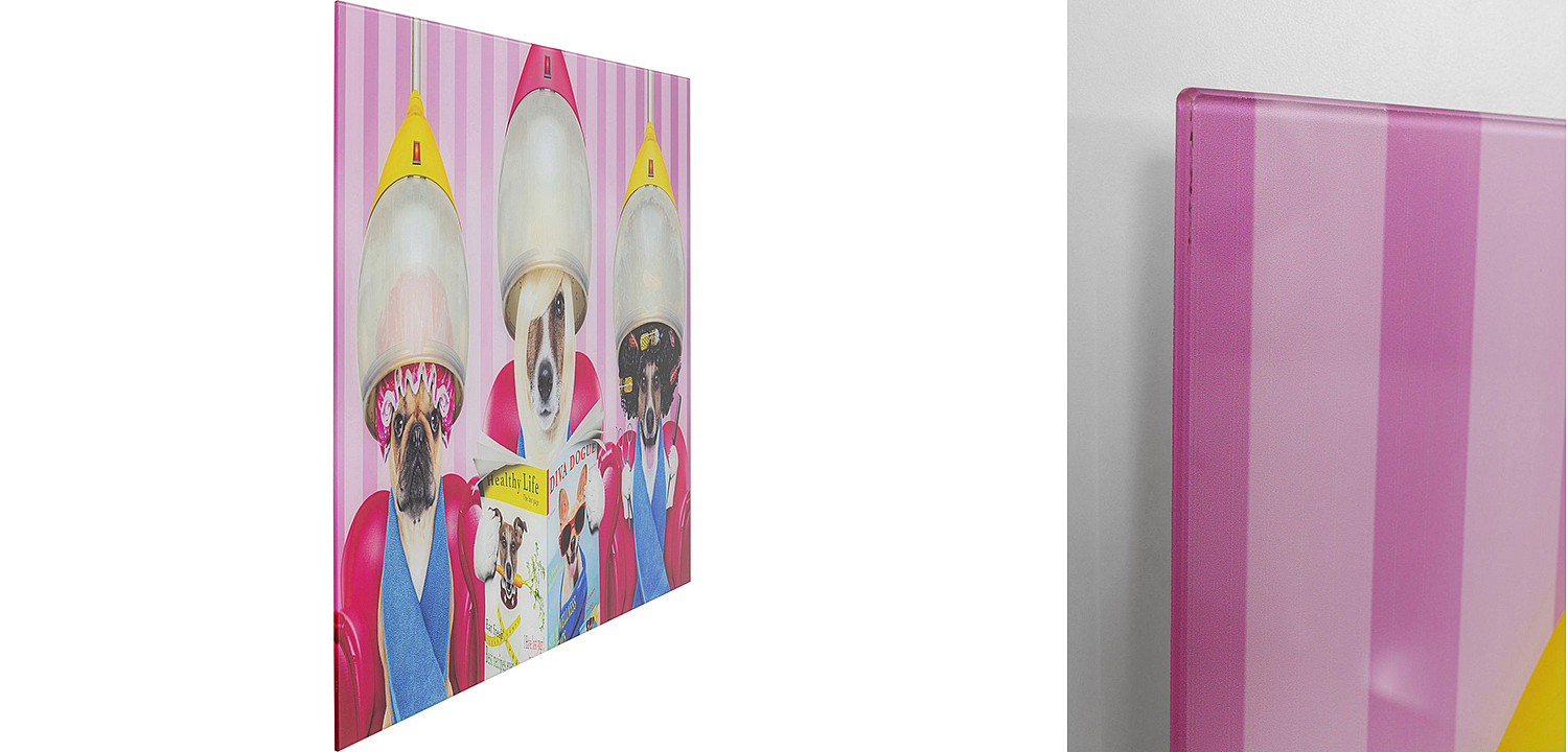 Картина Dogs in a beauty salon  - Loft-Concept в Омске