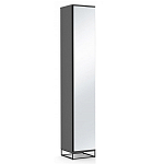 Шкаф-пенал с зеркальной дверцей и фасадом цвета графит Strict Lines варинант исполнения - 1 | Loft Concept в Омске