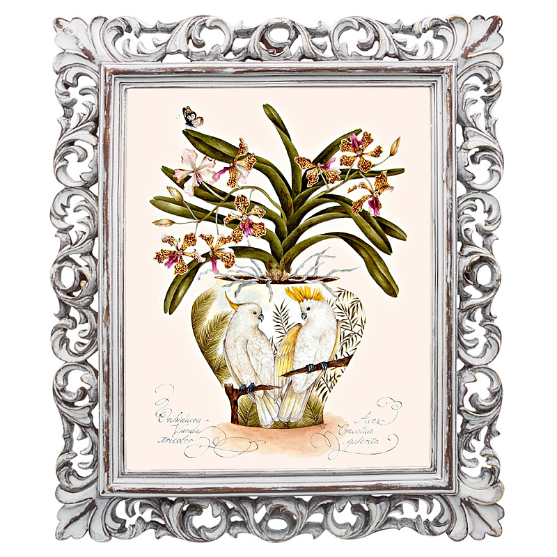 Постер White Parrots and Orchid Poster Мульти Белый винтажная патина Постер White Parrots and Orchid Poster Мульти Белый винтажная патина в Омске | Loft Concept