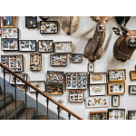 Книга Extraordinary Collections: French Interiors варинант исполнения - 11 | Loft Concept в Омске