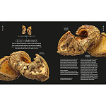 Книга Treasures of India From Antiquity to Modernity варинант исполнения - 3 | Loft Concept в Омске