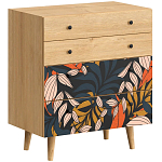 Комод с принтом на ящиках Elise Chest of Drawers варинант исполнения - 2 | Loft Concept в Омске