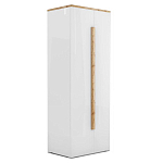 Шкаф платяной с белым глянцевым фасадом Grace of Furniture варинант исполнения - 1 | Loft Concept в Омске