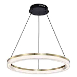 Люстра подвесная круглая светодиодная с золотым каркасом Ring Horizontal варинант исполнения - 3 | Loft Concept в Омске