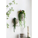 Кашпо Curly baby варинант исполнения - 5 | Loft Concept в Омске