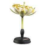 Статуэтка Tilia варинант исполнения - 2 | Loft Concept в Омске