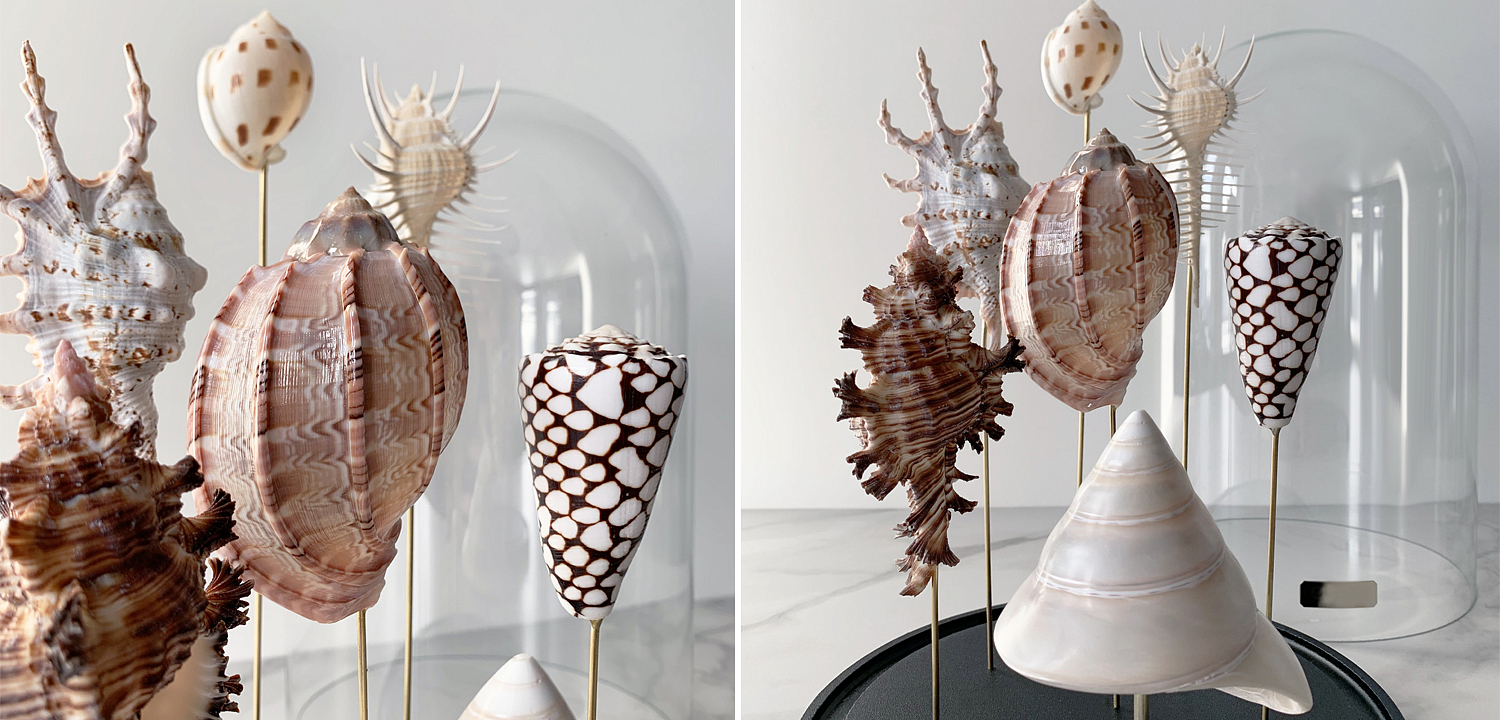 Статуэтка Shell Collection Glass Cloche 2 Статуэтка Shell Collection Glass Cloche 2 - Loft-Concept в Омске
