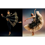 Книга New York City Ballet: Choreography and Couture варинант исполнения - 1 | Loft Concept в Омске