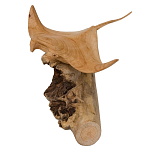 Статуэтка из дерева скат Animals of the World варинант исполнения - 2 | Loft Concept в Омске