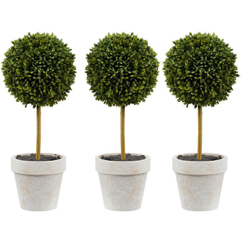 Декоративный искусственное растение Boxwood One Зеленый Бежевый Коричневый Декоративный искусственное растение Boxwood One Зеленый Бежевый Коричневый в Омске | Loft Concept