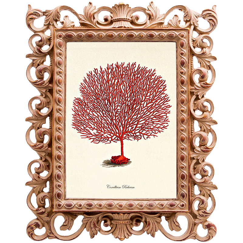 Постер Red Coral Poster 3 Бежевый Красный Постер Red Coral Poster 3 Бежевый Красный в Омске | Loft Concept