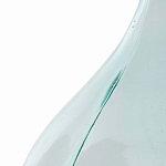 Ваза-бутыль из стекла TRANSPARENT FORMS 56 варинант исполнения - 4 | Loft Concept в Омске