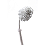 Статуэтка тропический фрукт Pandora Tropical Fruit Tall White варинант исполнения - 1 | Loft Concept в Омске