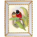 Постер с изображением птиц и цветов в зеркальной раме Blooming Birds Poster варинант исполнения - 6 | Loft Concept в Омске