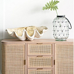 Блюдо декоративное в виде ракушки Seashell варинант исполнения - 1 | Loft Concept в Омске