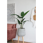 Декоративный искусственное растение Decor Stile  варинант исполнения - 6 | Loft Concept в Омске