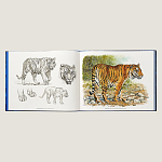 Лимитированная подарочная книга HERMES Fierce and Fragile book, English version варинант исполнения - 2 | Loft Concept в Омске