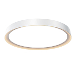 Потолочный светильник Incognito 2700-4000К 46Вт варинант исполнения - 1 | Loft Concept в Омске