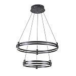 Люстра светодиодная с 2-мя плафонами в форме колец из акрила и алюминия с пультом для регулировки света Ring Horizontal Black варинант исполнения - 4 | Loft Concept в Омске