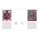 Книга Tantra: Enlightenment to Revolution варинант исполнения - 4 | Loft Concept в Омске