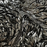 Панно «Чёрный лебедь» варинант исполнения - 3 | Loft Concept в Омске