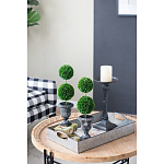 Декоративный искусственное растение Double boxwood варинант исполнения - 8 | Loft Concept в Омске