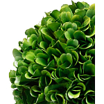 Декоративный искусственное растение Single boxwood варинант исполнения - 2 | Loft Concept в Омске