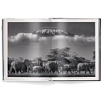 Книга Beusker. Look into my Eyes варинант исполнения - 2 | Loft Concept в Омске